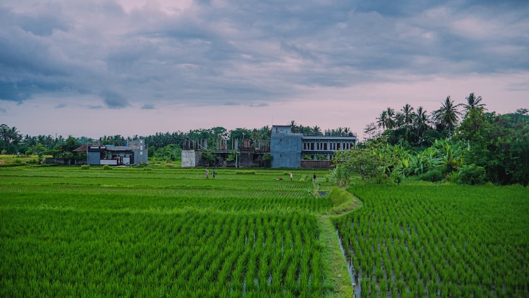 Bali Unplugged: Experiencing Authentic Island Life