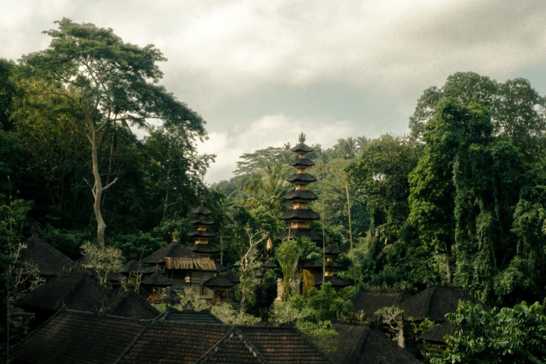 Bali's Spiritual Pathways: Temples and Tranquility