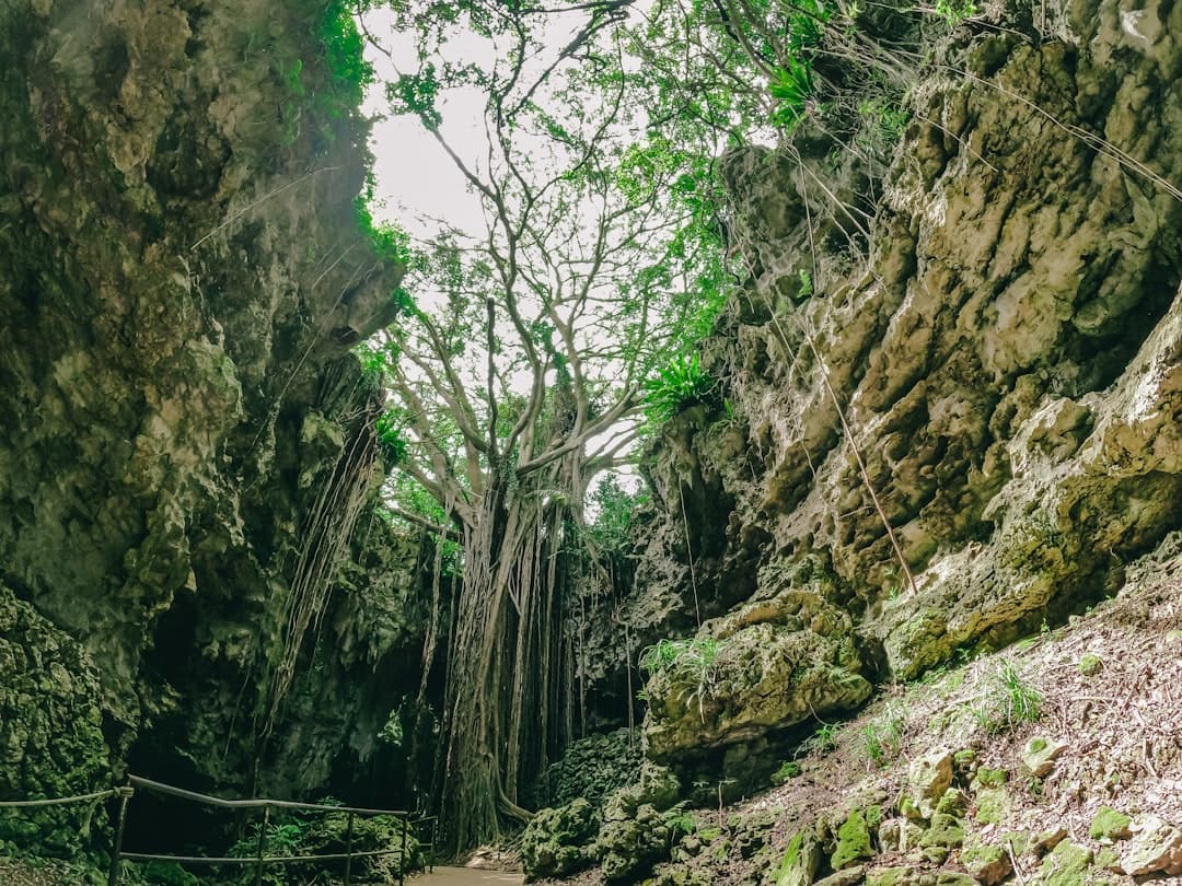 Okinawa's Hidden Landscapes: Beyond the Beaches