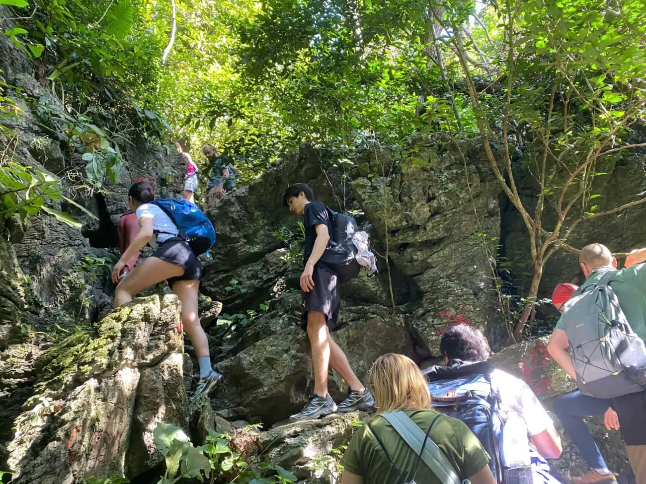 Cat Ba National Park Jungle Trek