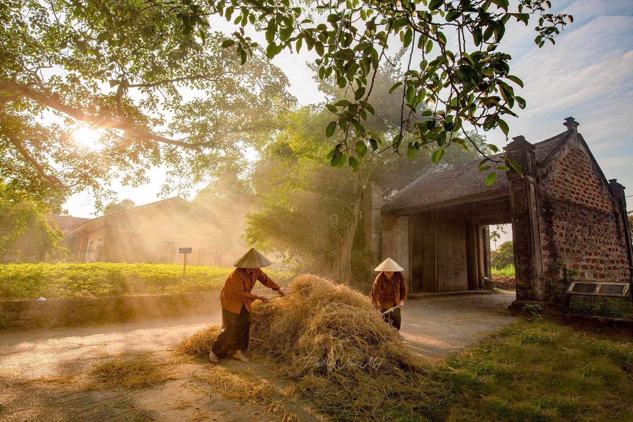 Duong Lam Ancient Village Experience